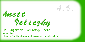 anett veliczky business card